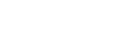 Schmidt Innovation